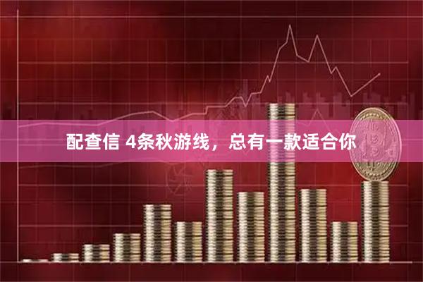 配查信 4条秋游线，总有一款适合你